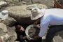 Archaeological excavations of Bronze Age in Ramsar