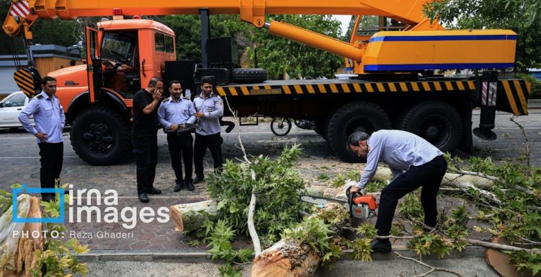 Storm damages in Shiraz city