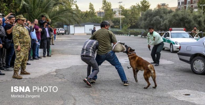 The Indispensable Role of Police Dogs in Modern Law Enforcement