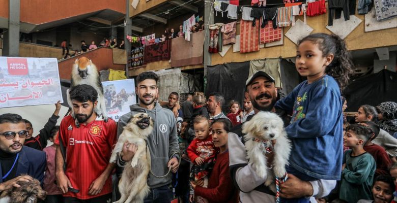 Youth brought smiles to the faces of children in war-torn Gaza by interacting with animals