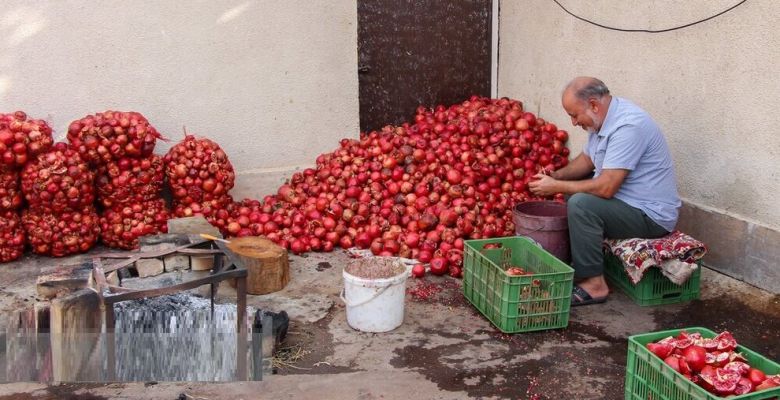 Unlocking the Health Benefits of Pomegranates: Nature's Nutrient-Packed Superfood