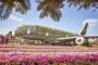 Miracle Bloom: Where Desert Sands Embrace a Symphony of a Million Flowers