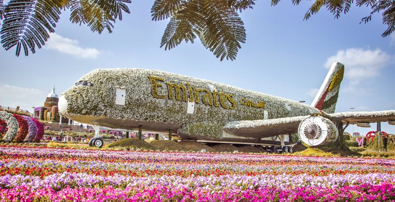 Miracle Bloom: Where Desert Sands Embrace a Symphony of a Million Flowers