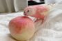 When Pets Look Like Snacks: Tales of Furry Fun and Tasty Lookalikes