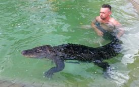 An Unlikely Bond: How One German Family Adopted an Alligator into Their Home