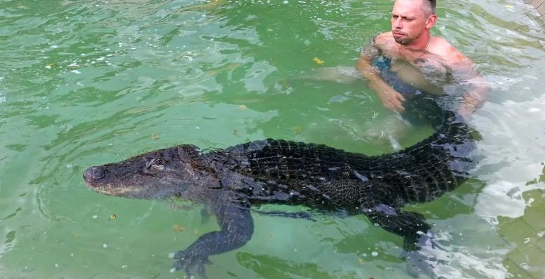 An Unlikely Bond: How One German Family Adopted an Alligator into Their Home
