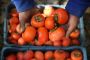 The Hidden Powerhouse: Unlock the Sweet Health Secrets of the Persimmon Fruit