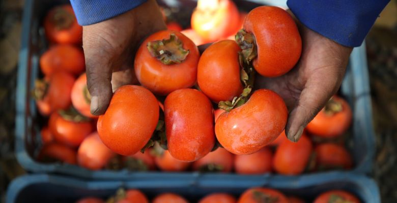 The Hidden Powerhouse: Unlock the Sweet Health Secrets of the Persimmon Fruit
