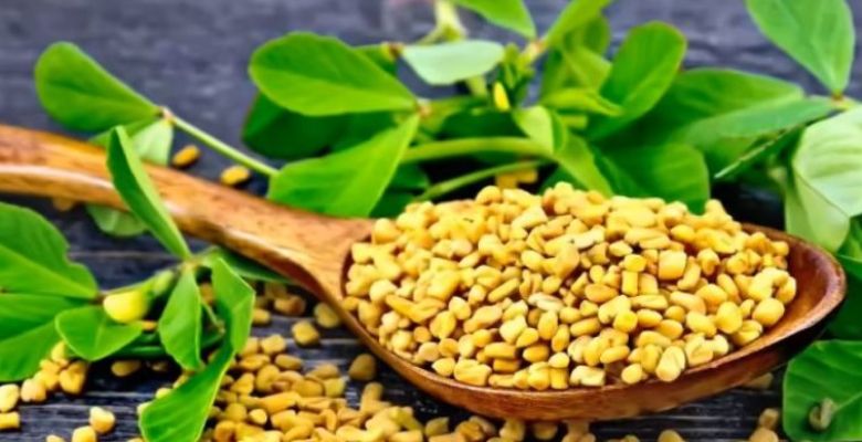 10 Herbs That Tame Blood Sugar: Your Natural Guide to Managing Diabetes