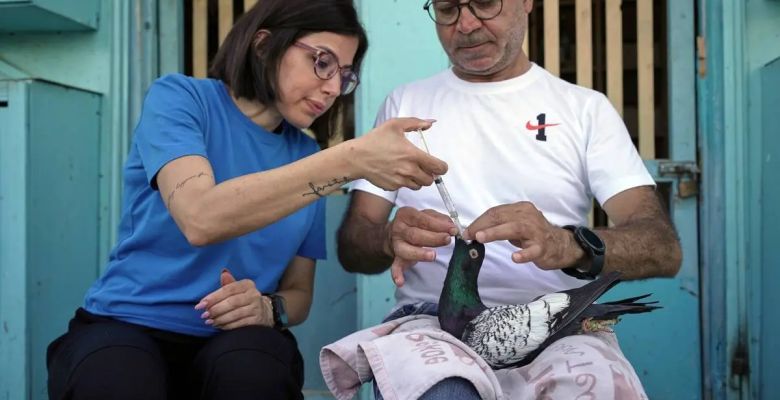 Beirut's Unexpected Sanctuary: How One Woman Found Peace on a Rooftop with Her Pigeons